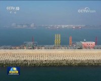 央视《新闻联播》：“点对点”运输、就近招聘…多举措助山东港口重点建设项目复工
