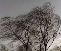 海丽气象吧｜山东发布内陆大风蓝色预警，多地阵风8级，建议停止户外高空作业