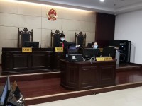 聊城高唐法院网上开庭并宣判 男子交通肇事获刑11个月