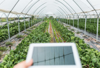 闪电评论丨瞄准智慧新农具 推动农业高质高效发展