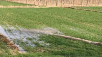 51秒|滨州沾化区扎实做好引黄春灌蓄水工作 完成灌溉面积12万亩