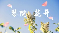 高校云賞花丨要賞花，來青島理工大學琴島學院！30秒盡賞醉人春意