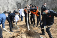 綠滿齊魯·美麗山東：種下1743棵樹苗致敬援湖北白衣天使