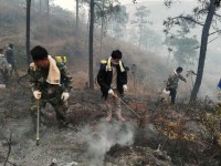 西昌出臺史上“最嚴”防火令：重點林區封山育林封閉管理，未經批準嚴禁進出