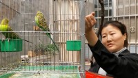 Vlog | 花园、鸟笼、玩具角……临沂市河东区的这户人家邀你去赏春
