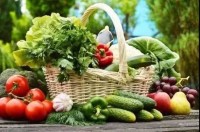 山东省检察机关充分履职 力保疫情下蔬菜产得出、运得畅、供得上
