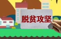 【地评线】齐鲁网评：用好“外援”促党建 助力打赢脱贫攻坚收官之战