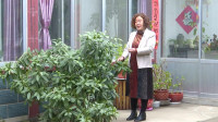43秒|诗意春联+盎然绿植，滨州沾化这个庭院让人羡慕
