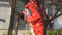 72秒 | 临沂兰陵一小区现蜂群 消防员联合养蜂人巧处置