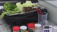 48秒丨滨州沾化区加强学校食品安全监管 提升服务效能
