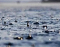 海丽气象吧丨未来一周滨州主要有两次降水过程 17日最高温32℃左右