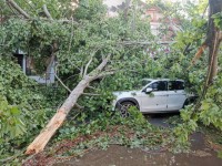 树木被连根拔起！临沂莒南部分地区和设施受灾