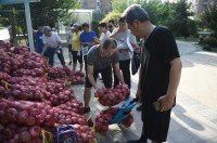 “青春扶貧 愛心助農”！山東省人大青年志愿者攜手第一書記愛心幫扶