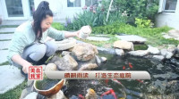 美在我家｜晴耕雨讀，打造生態庭院