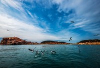 闪电评论丨涵养海岛生态，打造碧海蓝天“国家公园”