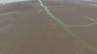 33秒丨东营黄河入海口24年来最大洪水水头平稳入海 为黄河三角洲湿地补水1亿立方米