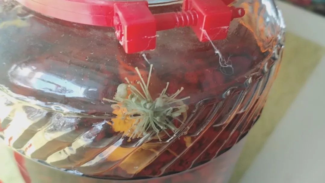 稀奇泡酒的人参竟然开花了