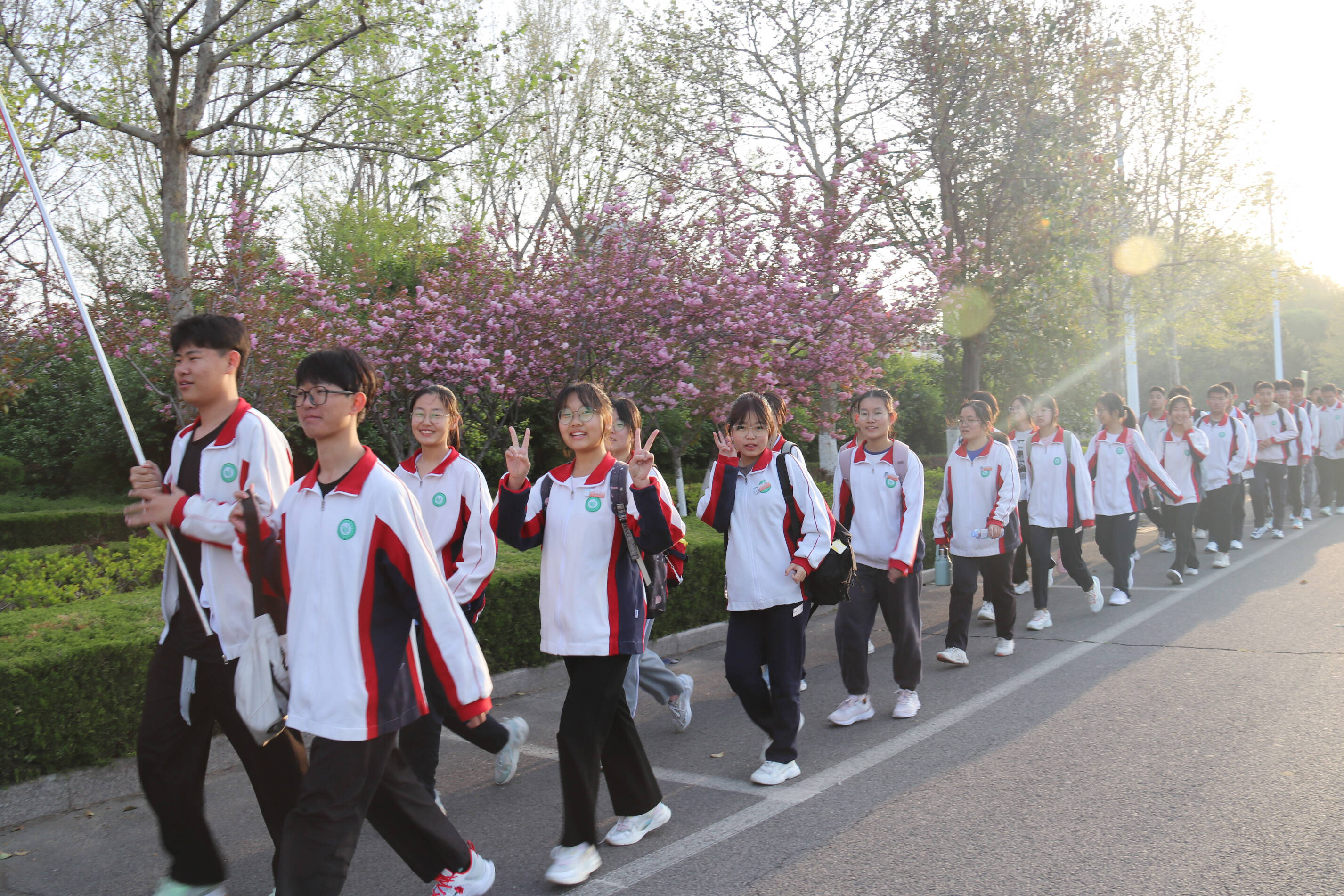 及第中学校花图片