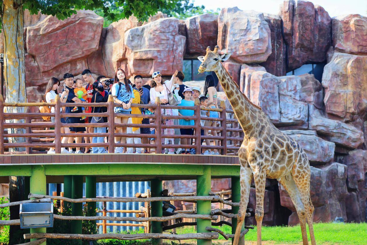 仅需79.9元畅玩济南野生动物世界2024奇妙探索季