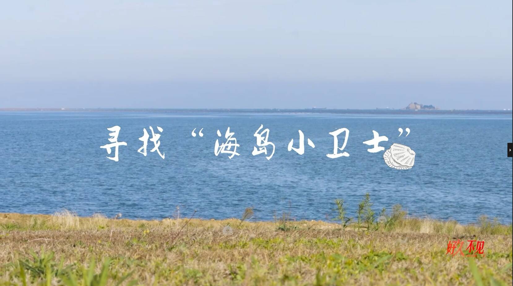 好久不見——尋找三十年前的“海島小衛士”