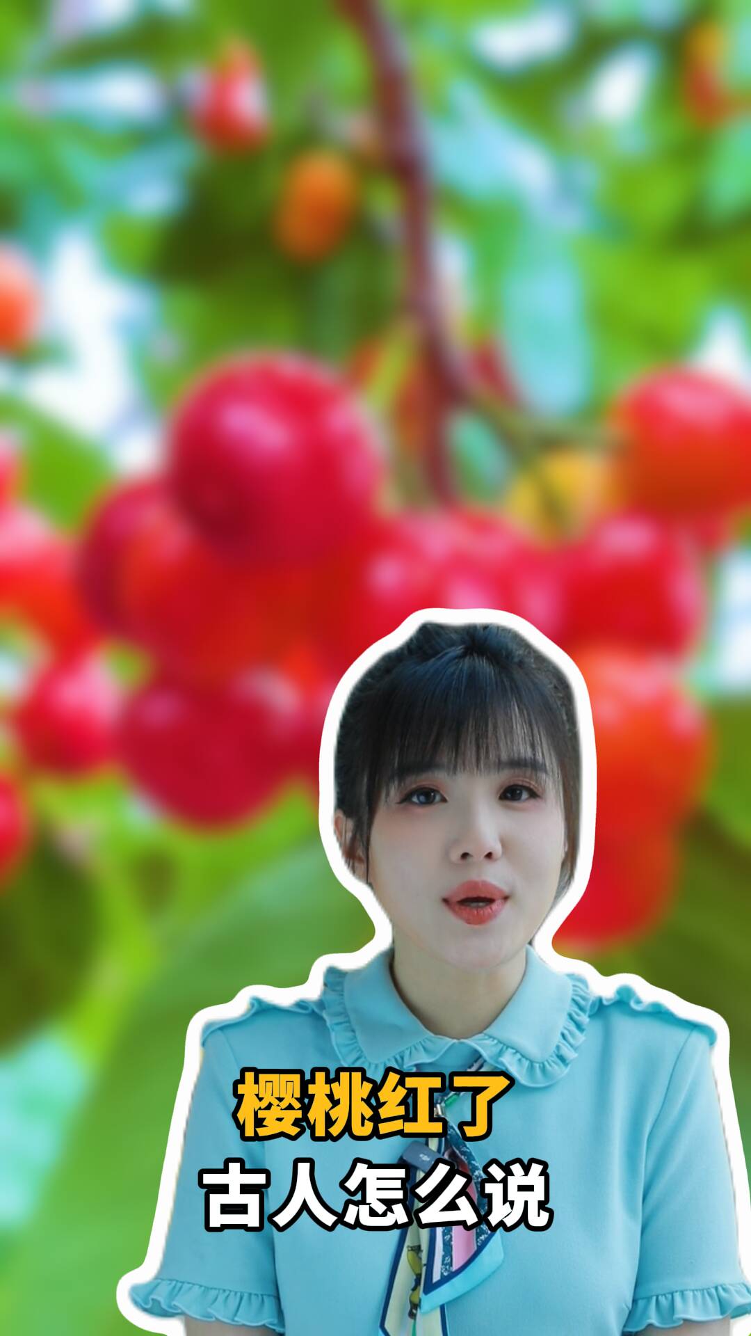 櫻桃紅了古人怎么說 主播評：櫻桃的千年風雅與生命的敬畏之心