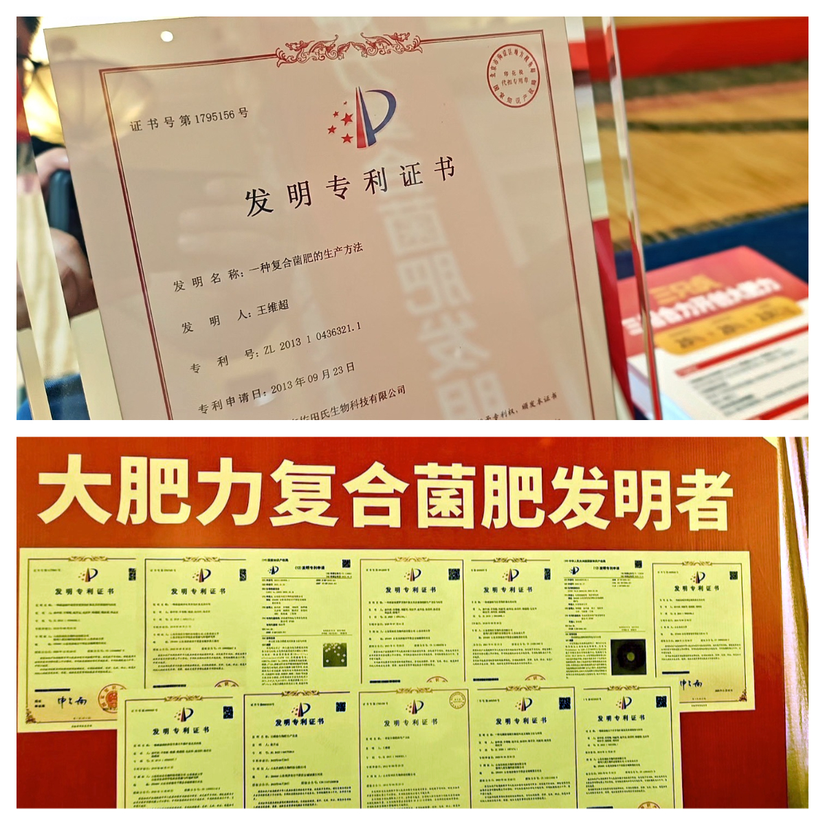 下载.jpg