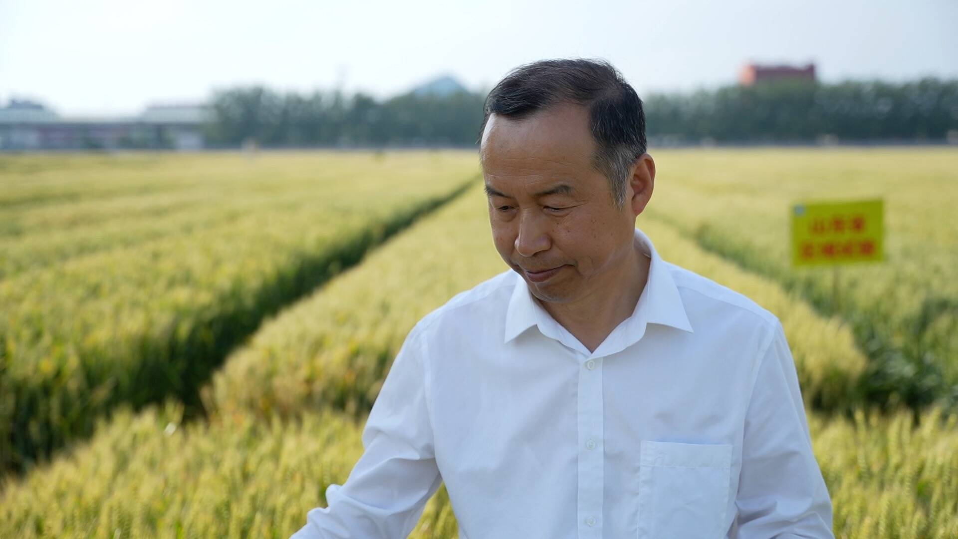 代表委员履职记丨全国人大代表刘建军加快原始创新促进种业振兴