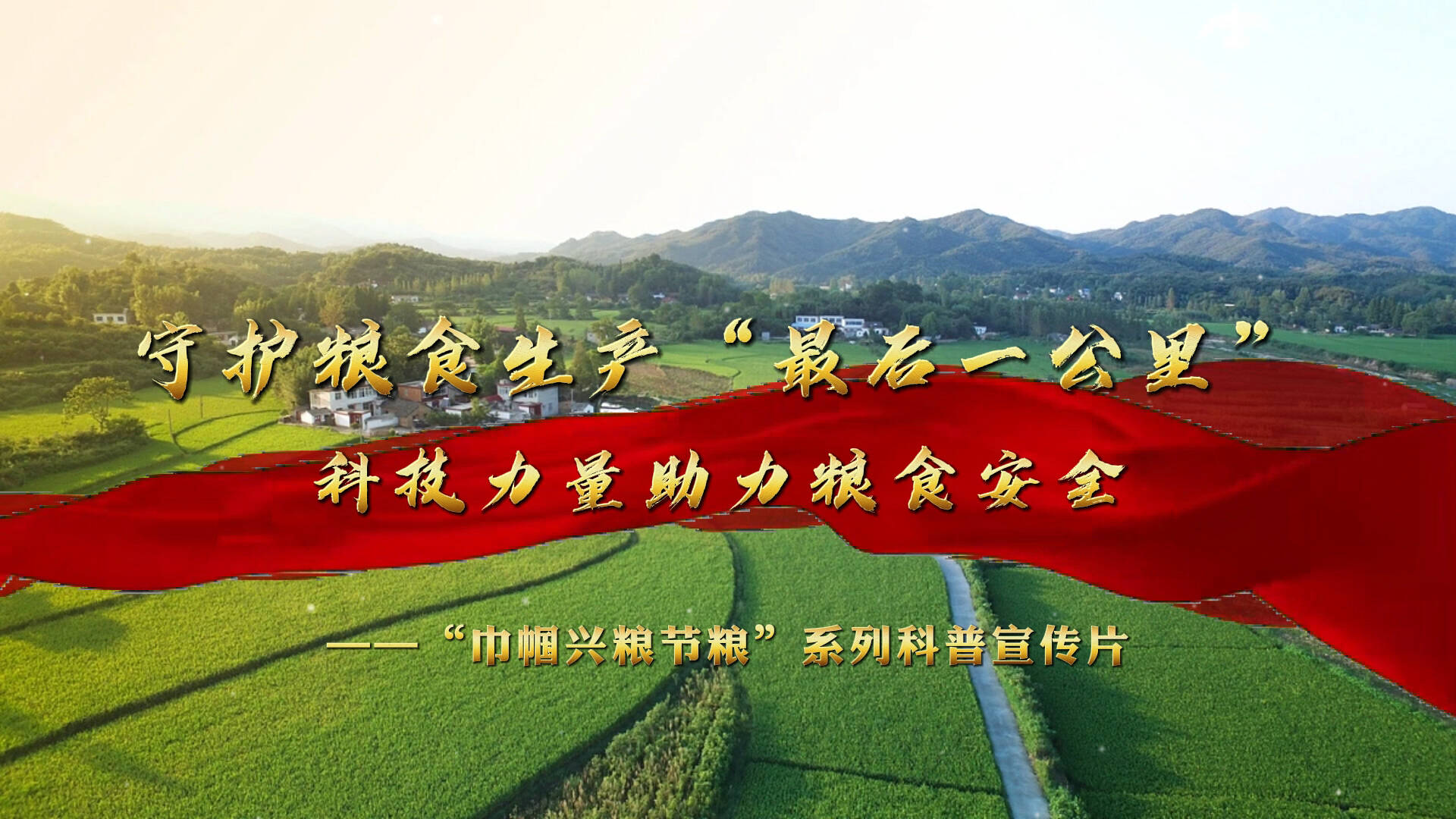 守护粮食生产最后一公里科技力量助力粮食安全巾帼兴粮节粮系列科普