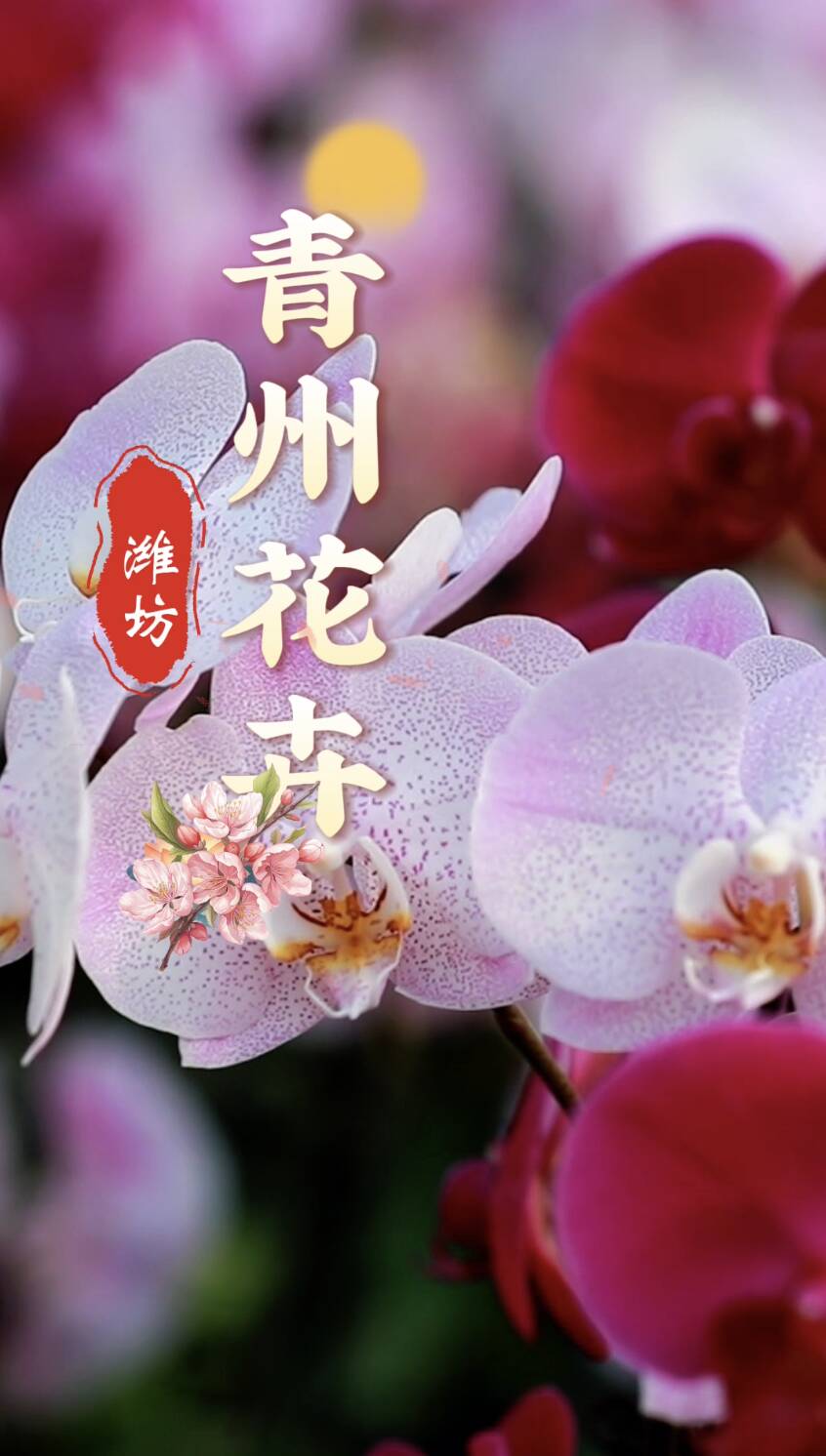 《青州花卉》