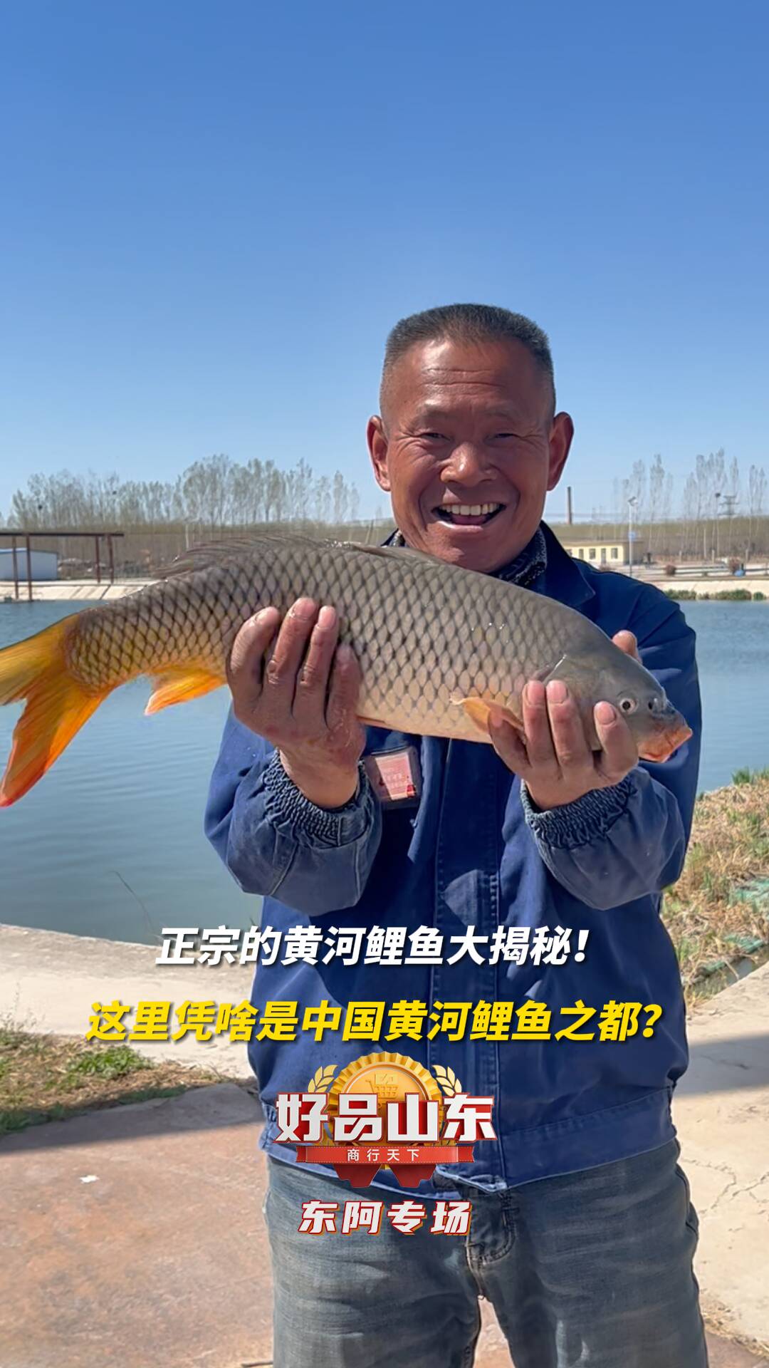 正宗的黄河鲤鱼大揭秘!这里凭啥是中国黄河鲤鱼之都?