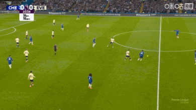 切尔西2-0埃弗顿暂升第4 古斯托传射帕尔默复出首球