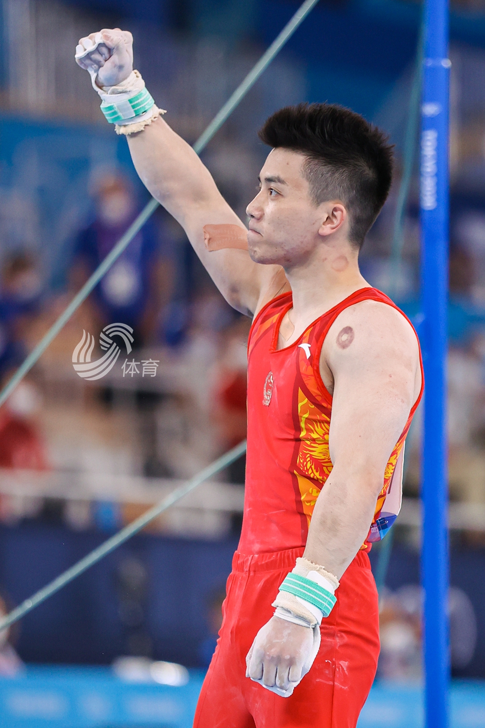 自由体操:林超攀,孙炜,肖若腾,邹敬园 鞍马:邹敬园,孙炜,肖若腾