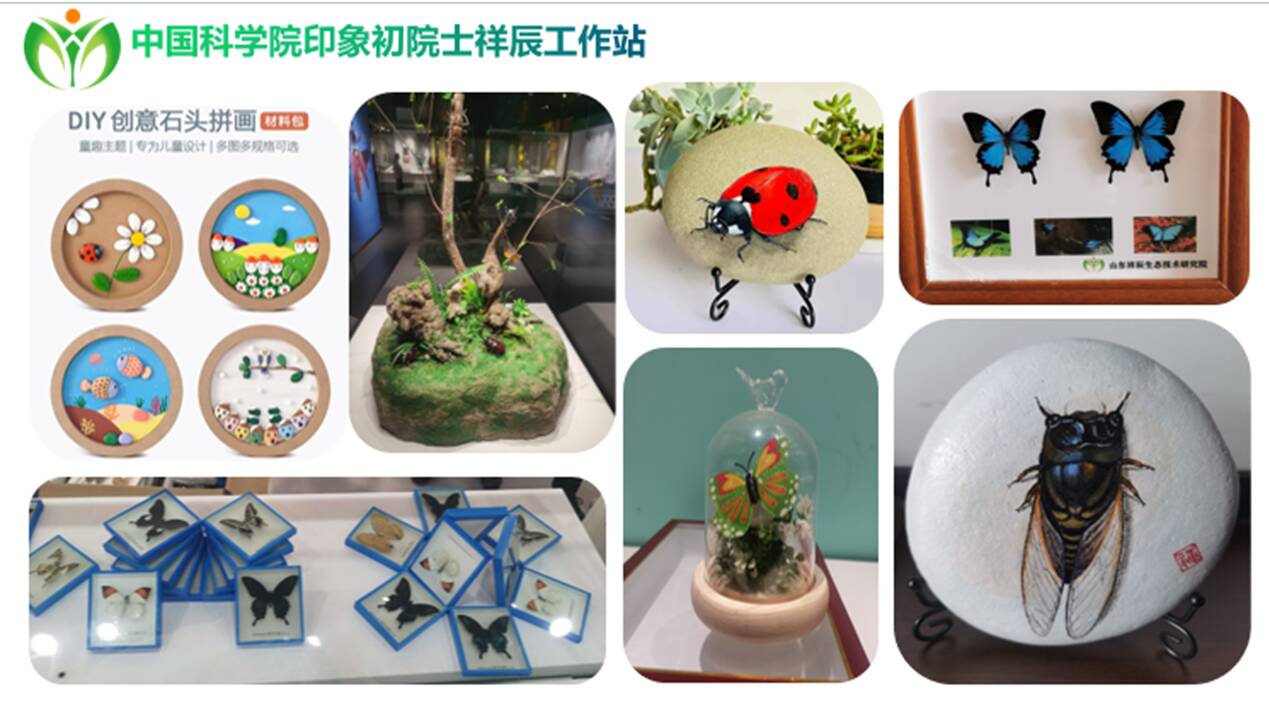 新春新去处，济阳区美术馆举办黄河流域昆虫科普文化展