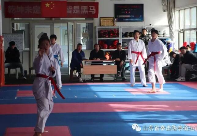 高質量、高標準、高要求！山東省拳擊跆拳道運動管理中心開展訓練公開課活動