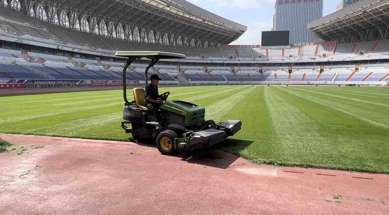 鲁能大球场草皮定期养护，泰山俱乐部工作人员已为开放主场做准备工作