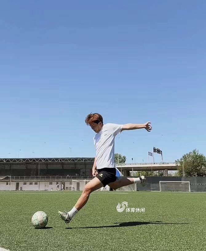 杨子琦