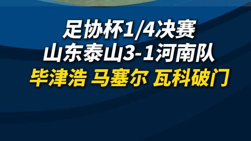 足协杯泰山队3-1河南队 毕津浩 马塞尔 瓦科破门