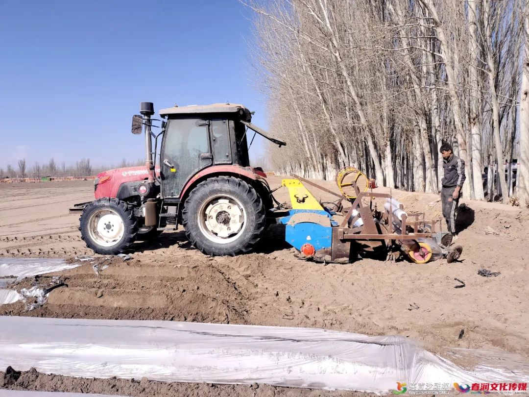 产业援疆英吉沙县高标准农田建成投用群众增收信心十足