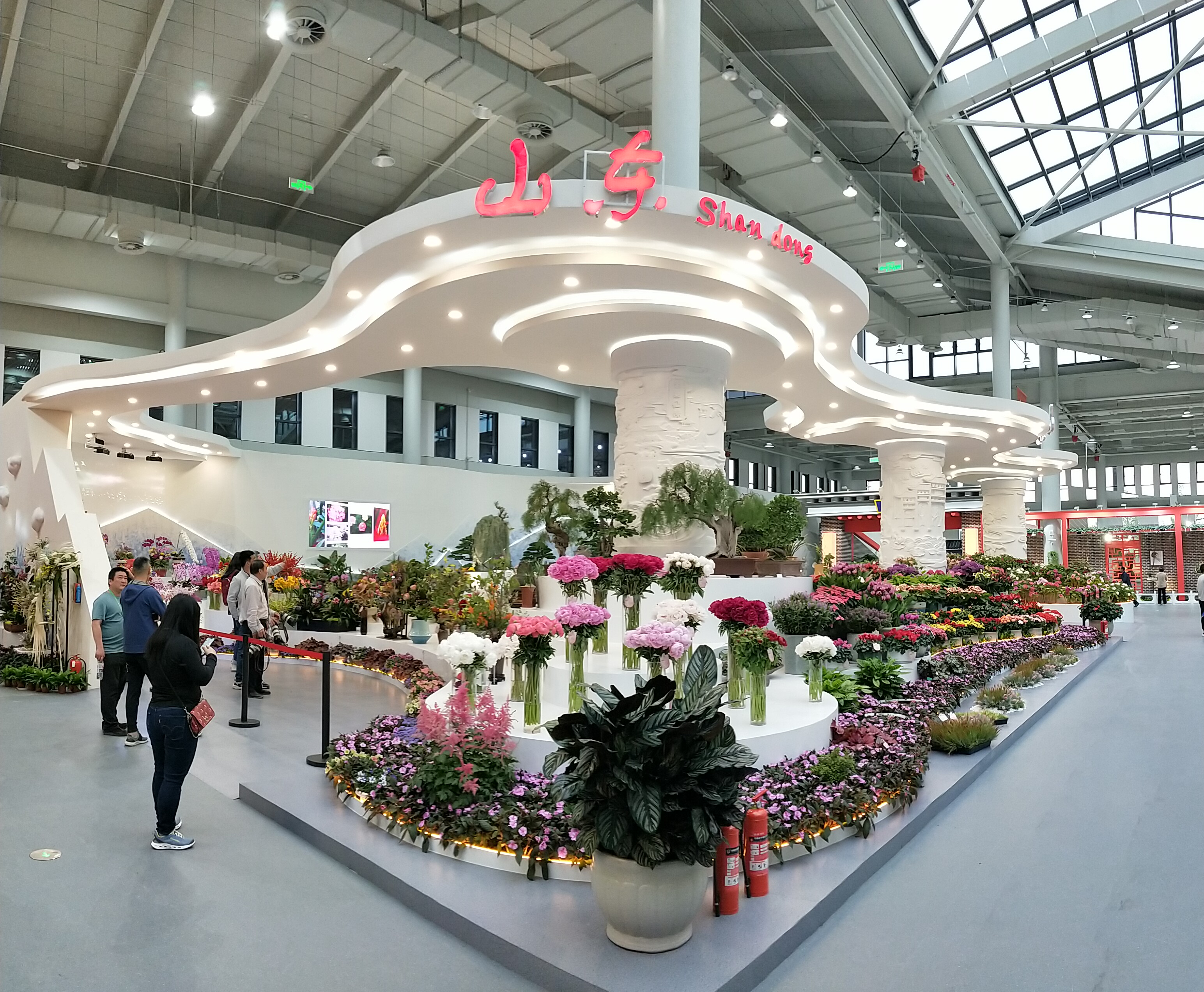 第十届中国花卉博览会圆满闭幕 山东喜获佳绩