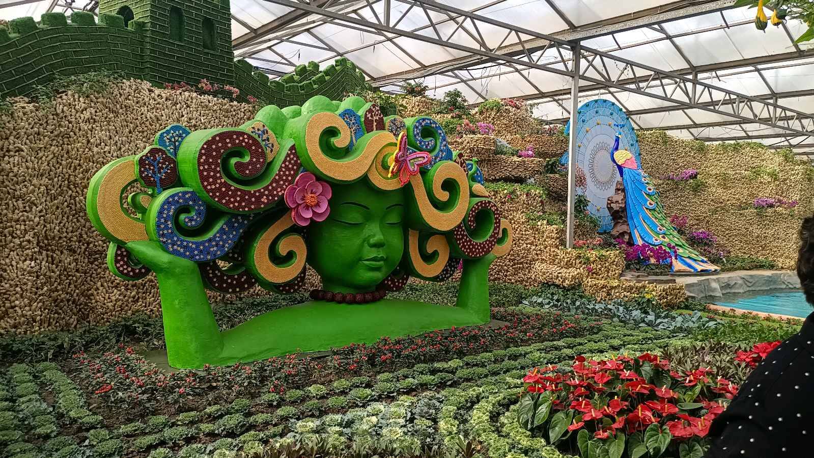 第二十四届中国(寿光)国际蔬菜科技博览会开幕