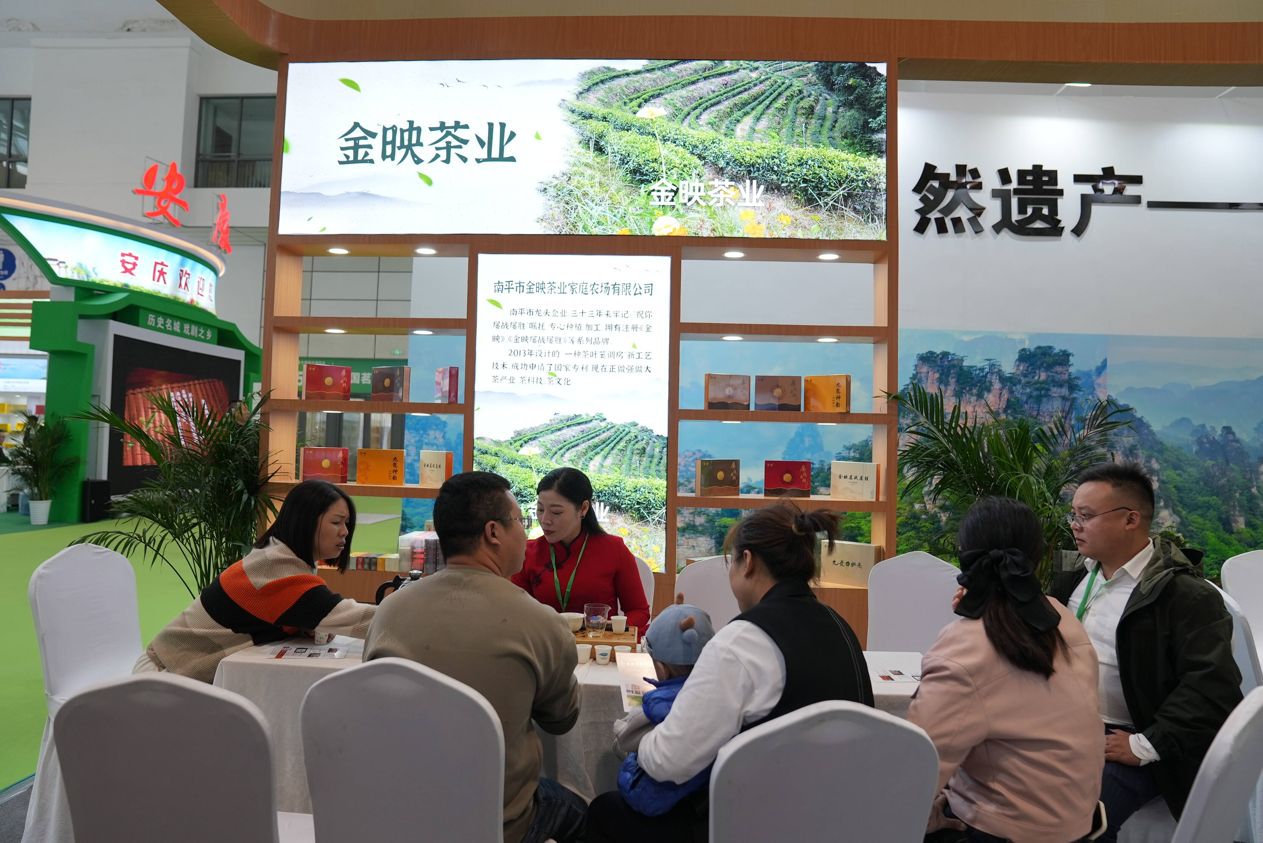 杭州茶叶博览会图片