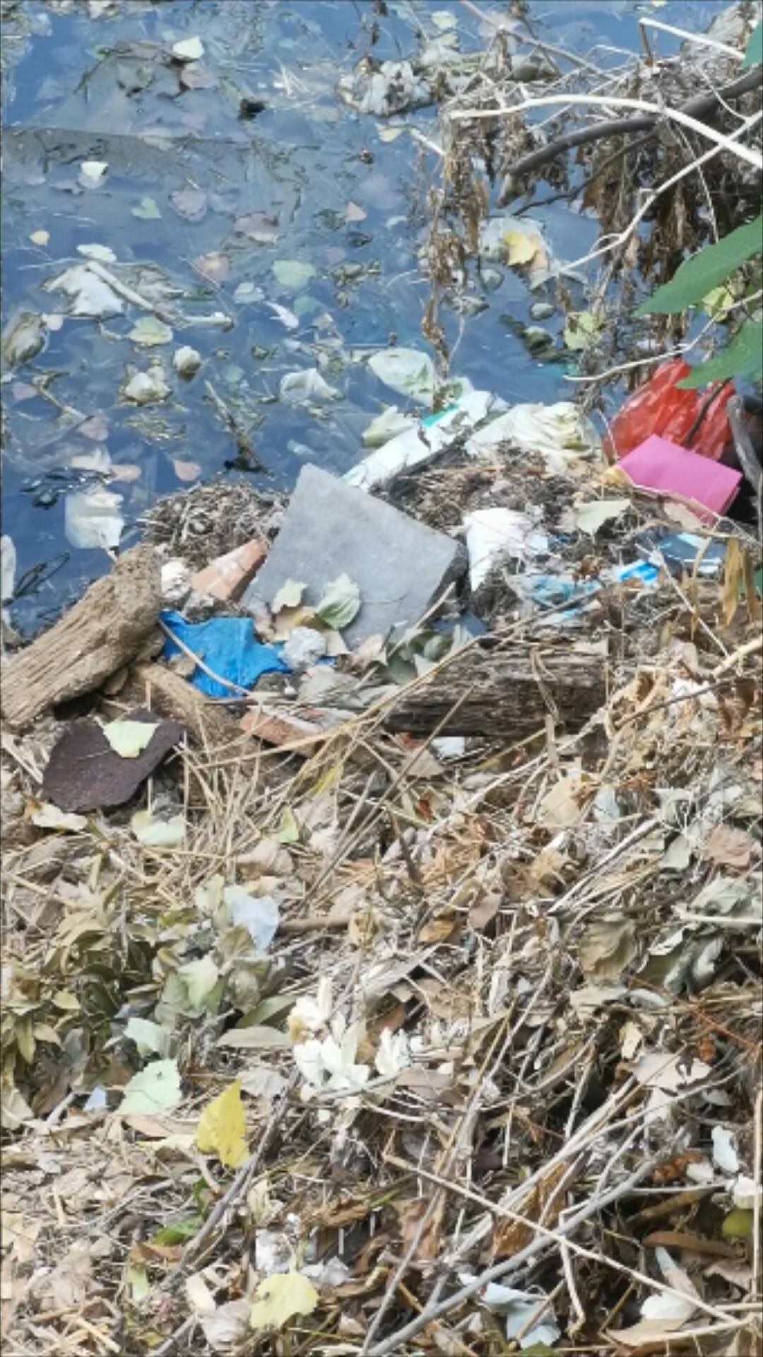 【一线大调研·我身边的环境】 临沂沂水:住龙河上垃圾"围"河 如何