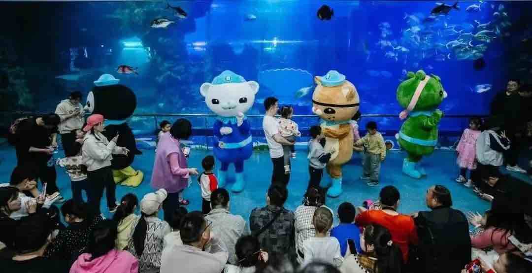 媒联动直播活动,6路记者带全国网友走进济南千佛山,青岛明月海藻世界