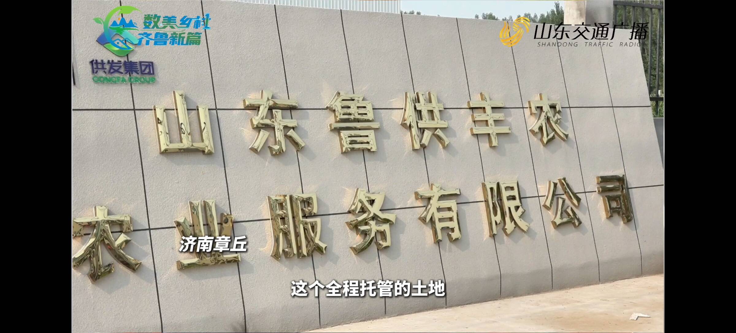 章丘區相公莊街道：三萬畝“一塊田” 數字托管譜新篇