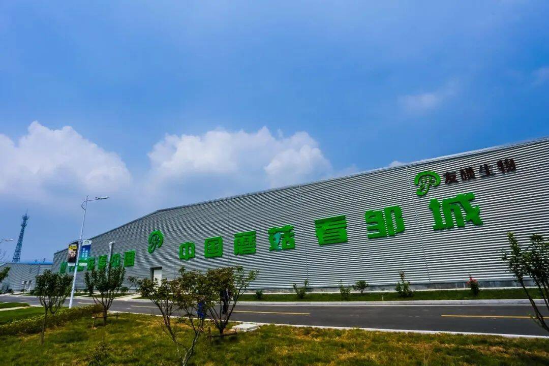 儒风浸染 绘就"邹城蘑菇"新图景