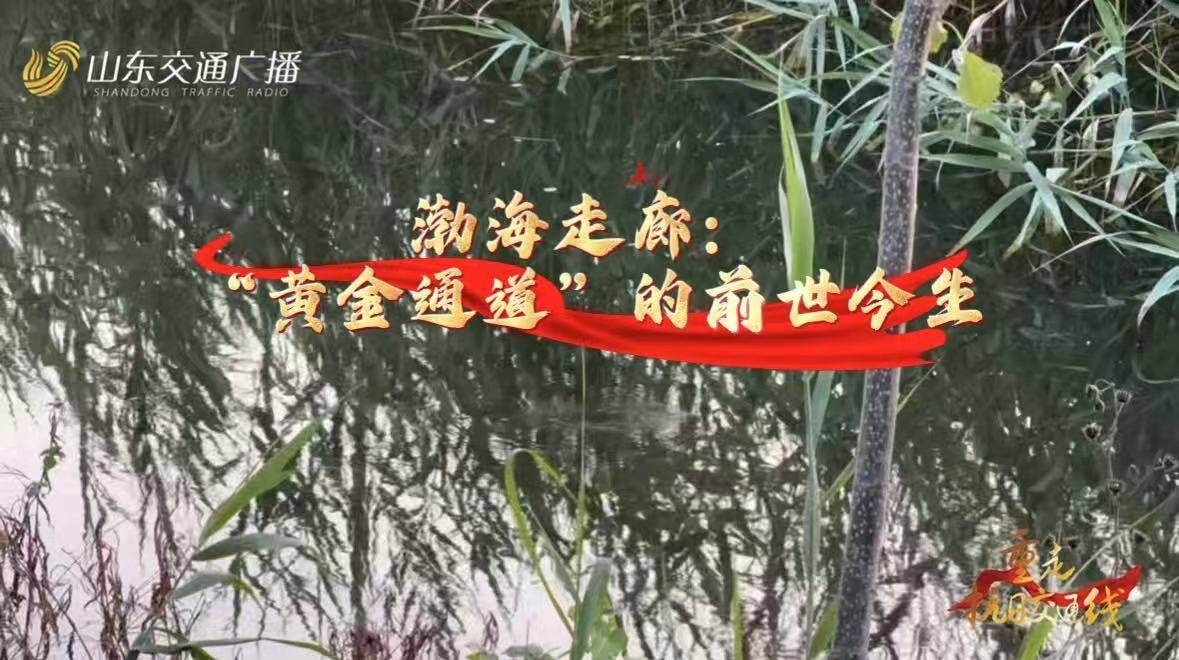 重走抗日交通線——渤海走廊：“黃金通道”的前世今生