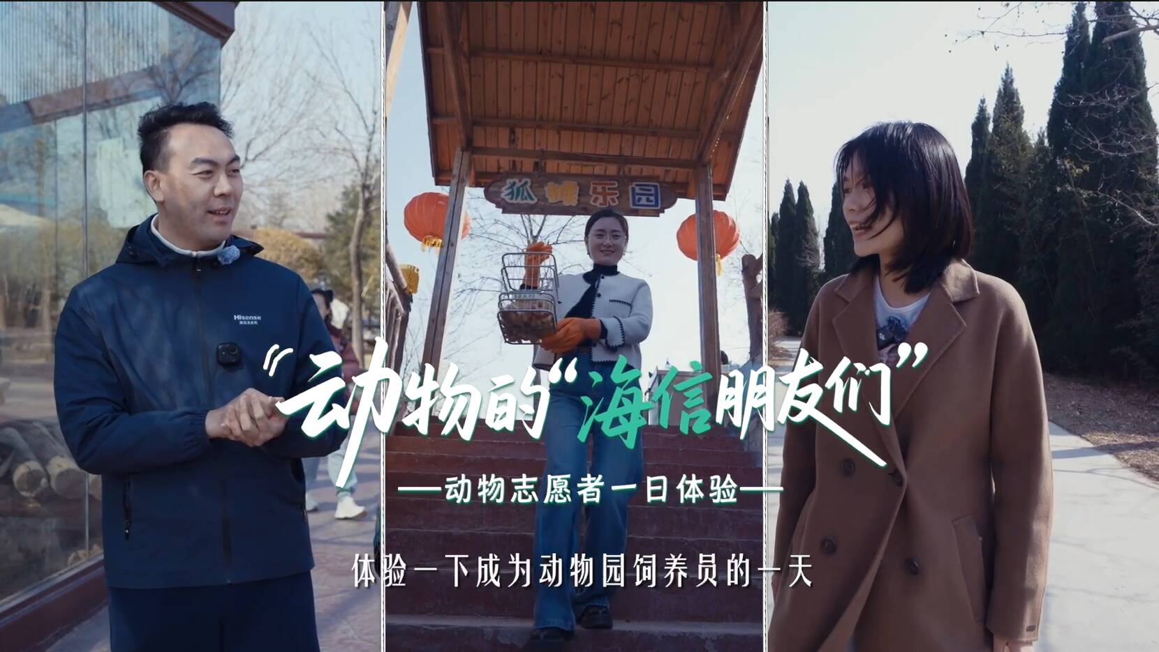 小局改大幸福2.0 | 海信有爱守护共同的动物朋友