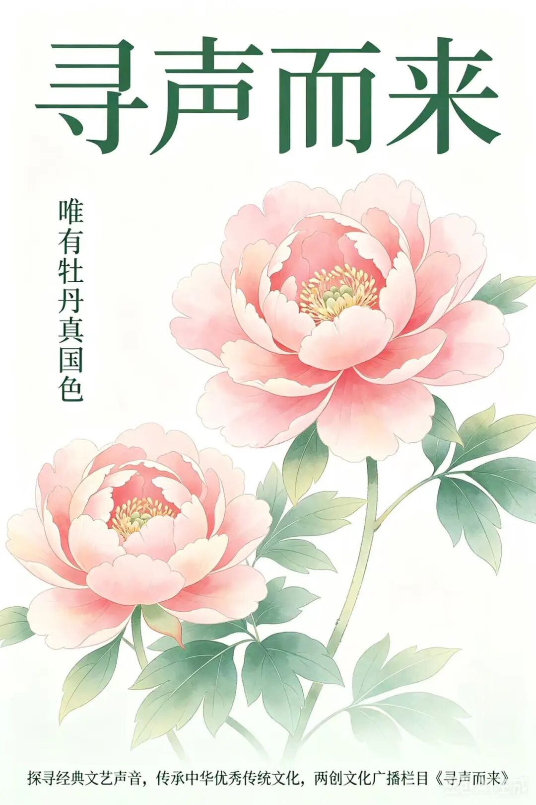 寻声而来——唯有牡丹真国色