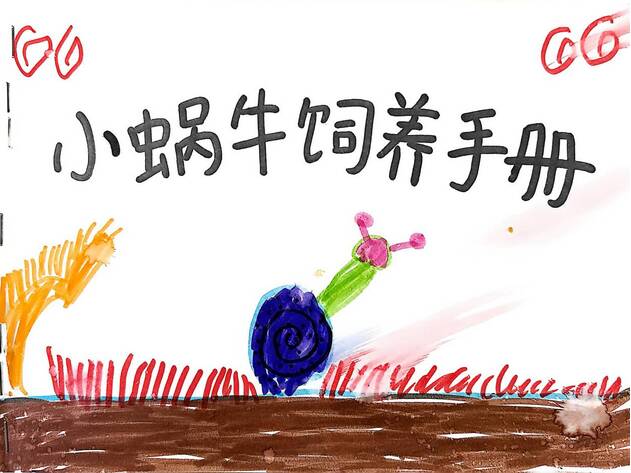 蜗牛相伴，童心探自然