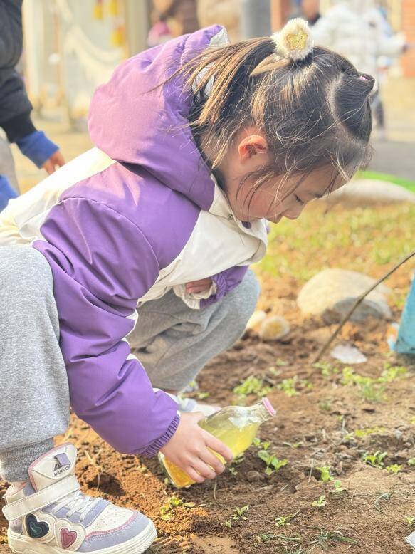 小菜园里的“施肥小课堂”